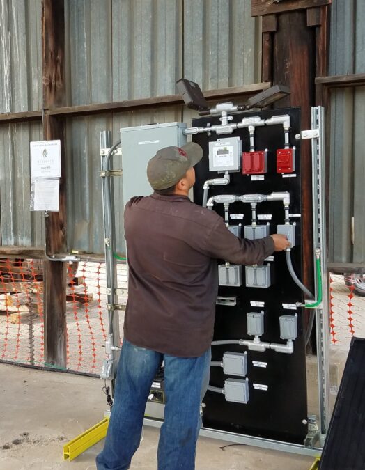 Biomass to electricity underway