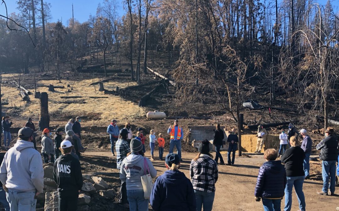 Wildfire Recovery with Community Effort