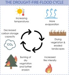 Watershed Fire Management Factsheet