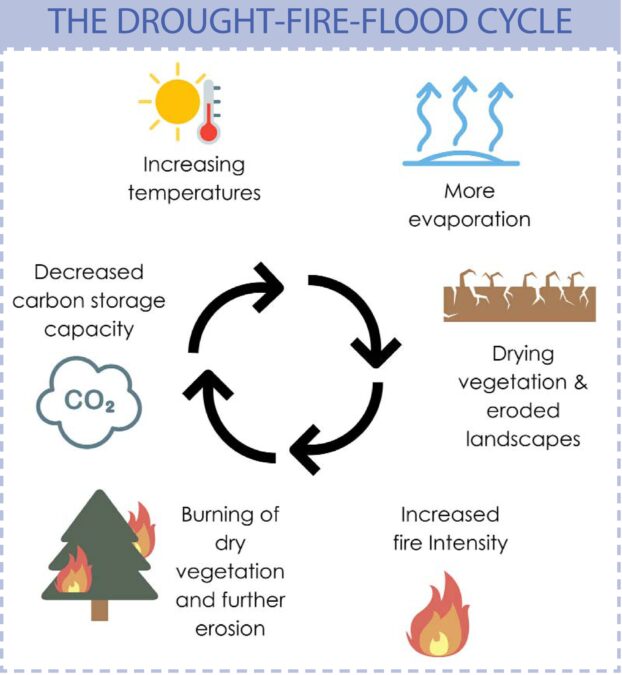 Watershed Fire Management Factsheet