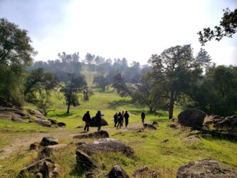 Hidden Gem: San Joaquin Experimental Range In Collaboration With NEON