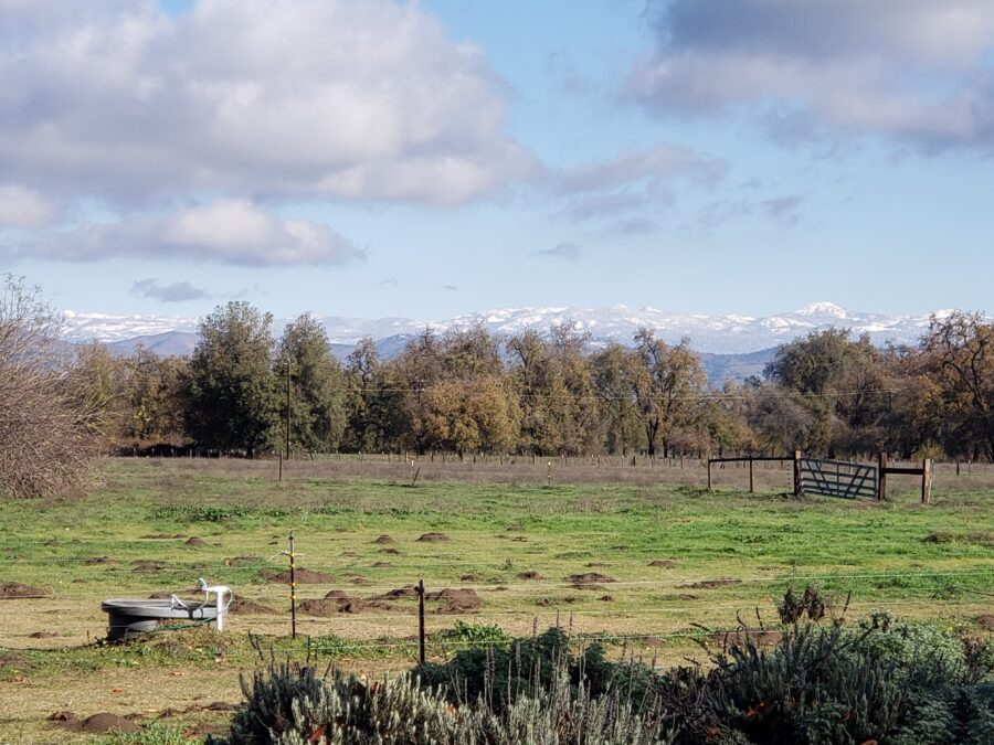 Riparian Restoration and Conservation