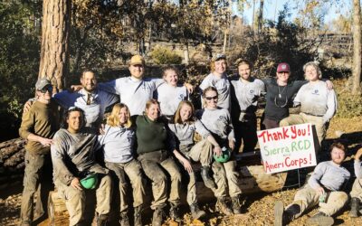 Team AmeriCorps Partners with Sierra Foothill Conservancy Stewardship