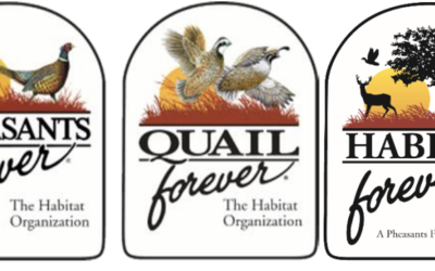 Pheasants, Quail, & Habitat Forever Seed Program
