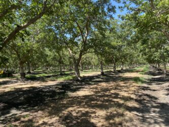 Madera/Chowchilla RCD Grower Recharge Workshop