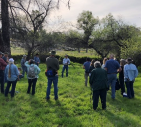 UCANR Blue Oak Management Field Day