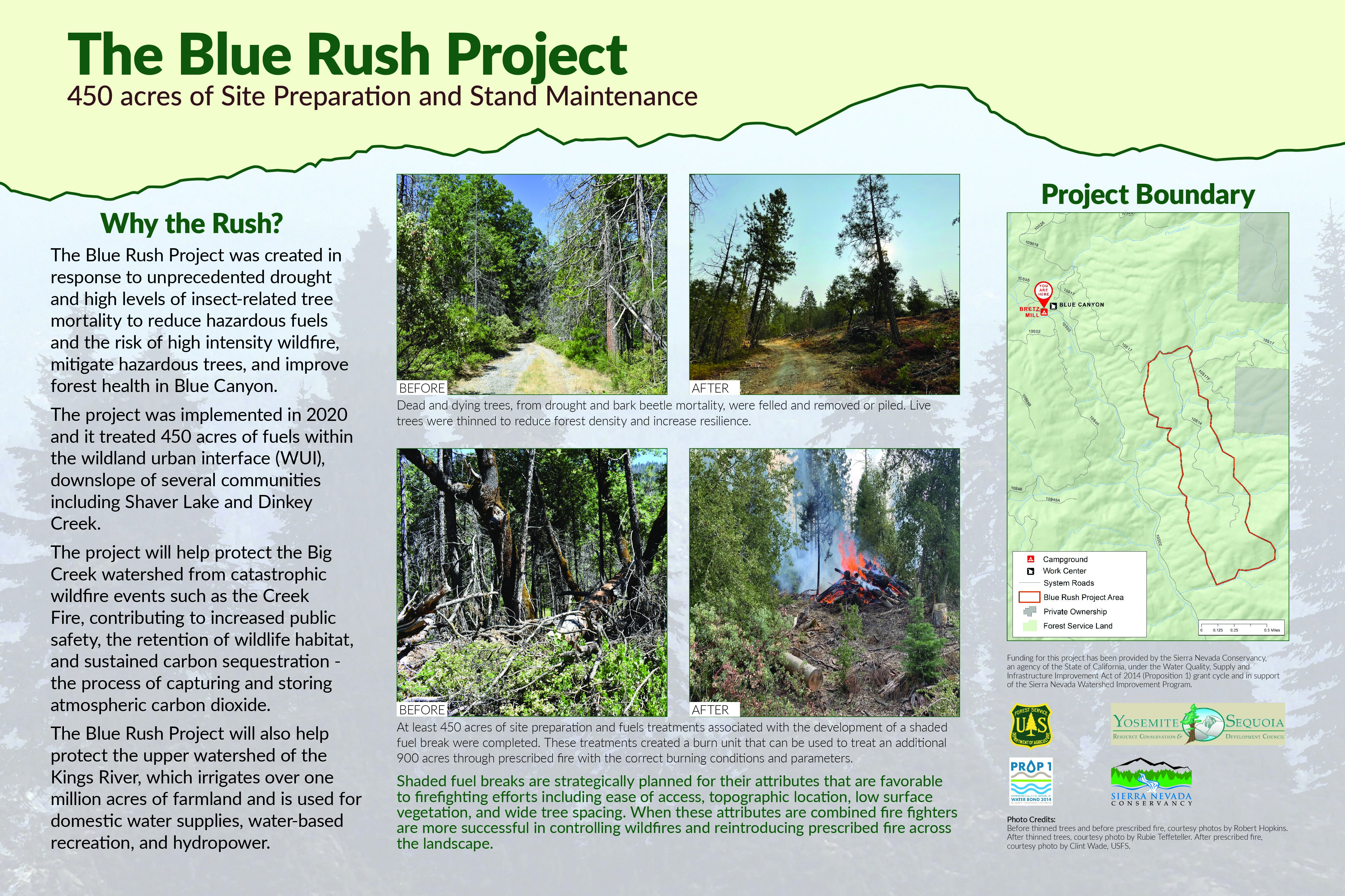 Blue Rush Field Trip – Dinkey Creek Collaborative – Sept 27th, 2023