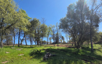 Fuels Reduction Project Completed at Mountain Top Ranch