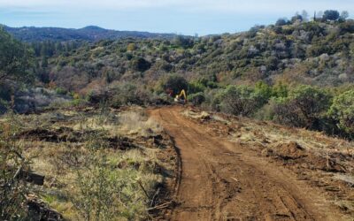 T-26 Fuel Break Enhances Wildfire Protection